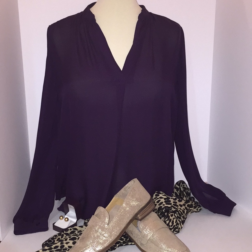 Beautiful 💯% SILK 🍆 Antonio Melani blouse